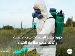 دورة بقايا المبيدات في الأغذية وأثرها علي سلامة الغذاء